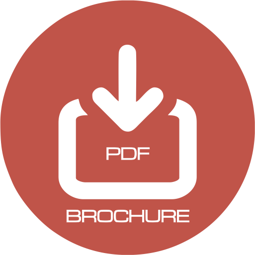 PDF